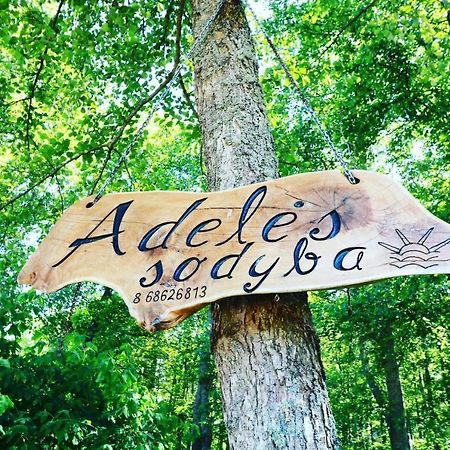 Namelis Nr 2 Adeles Sodyba Muize Exterior photo