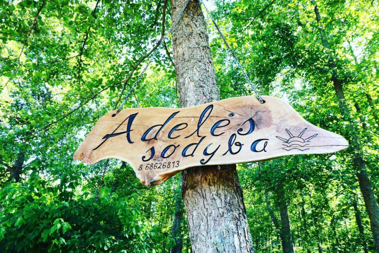 Namelis Nr 2 Adeles Sodyba Muize Exterior photo